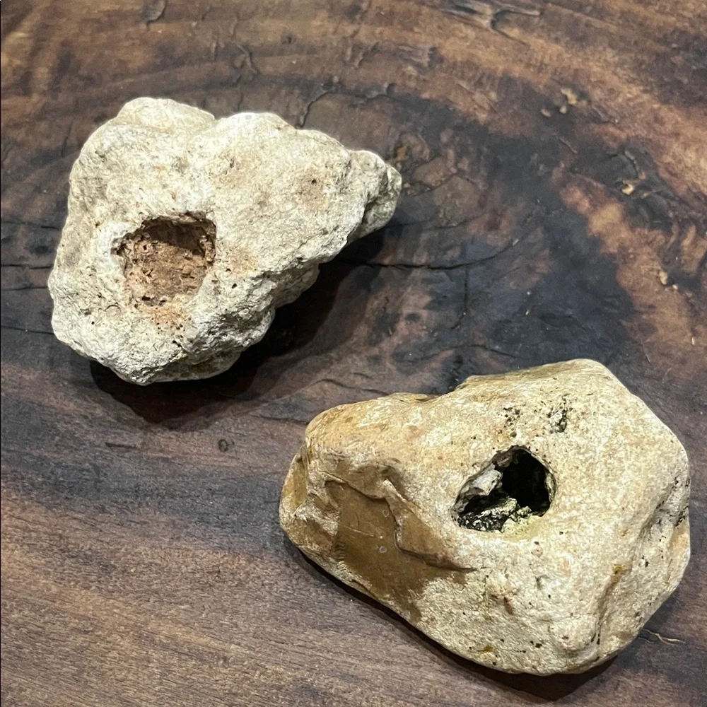 Natural Rock With Holes Found in off grid creek bed Southern TN Set of 2